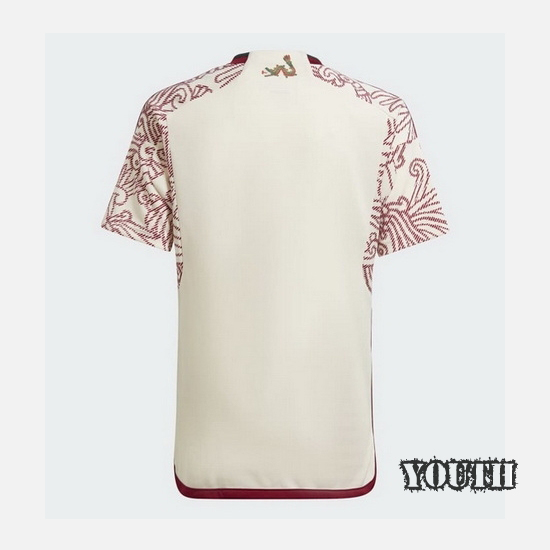 2022/23 Away Mexico Youth Soccer Jersey